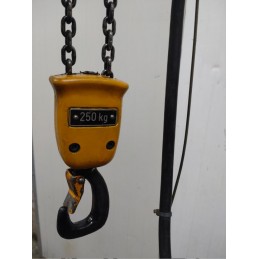 Demag chain hoist PK 1 N 250 kg 3m hook path (2/1)